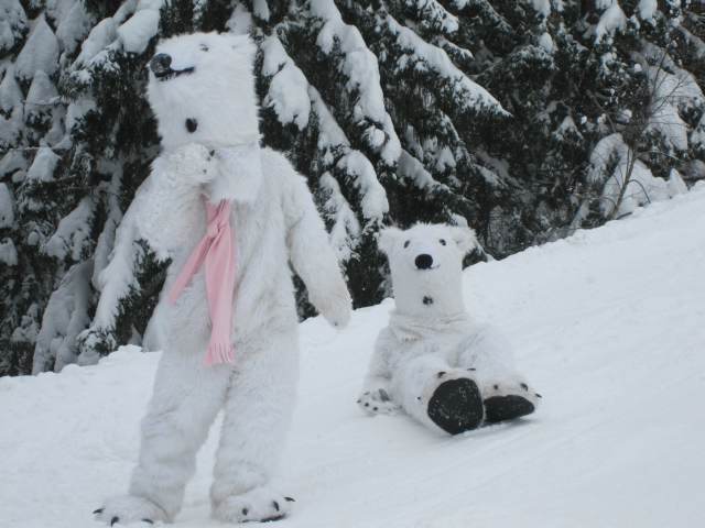 Spinleruv Mlyn Februari 2010